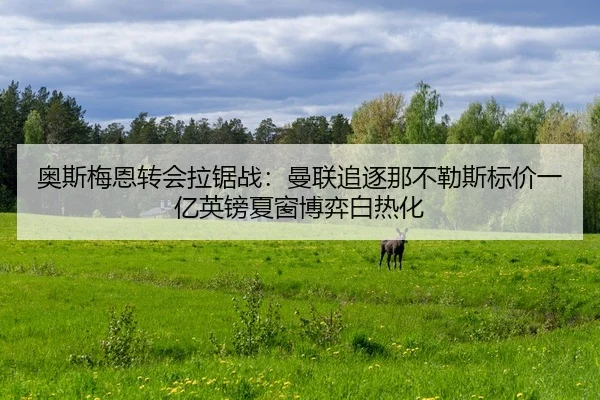 奥斯梅恩转会拉锯战：曼联追逐那不勒斯标价一亿英镑夏窗博弈白热化