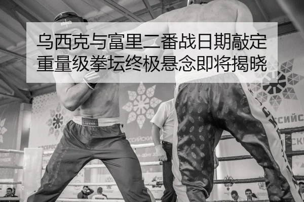 乌西克与富里二番战日期敲定 重量级拳坛终极悬念即将揭晓